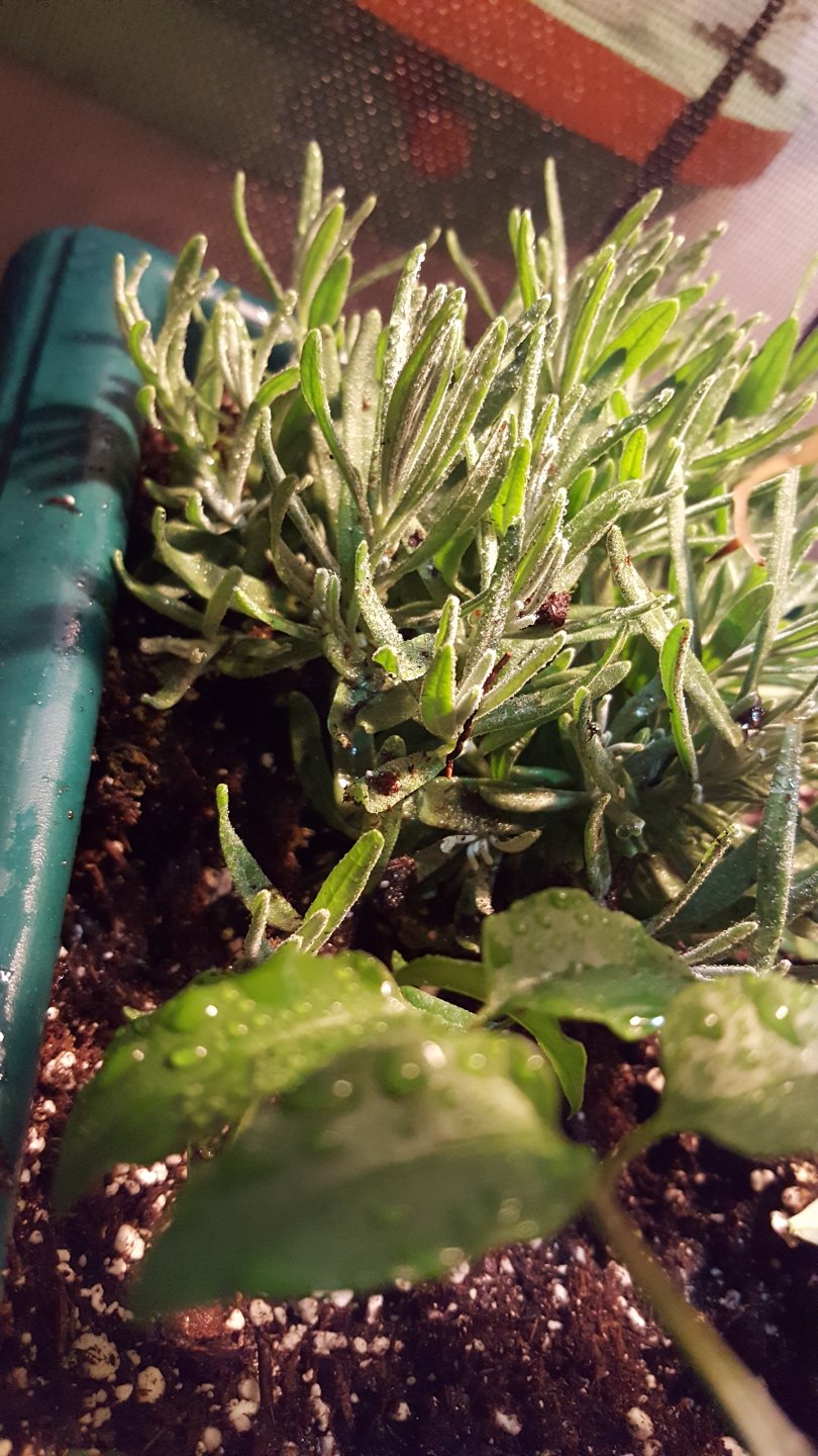 20170514_161035.jpg