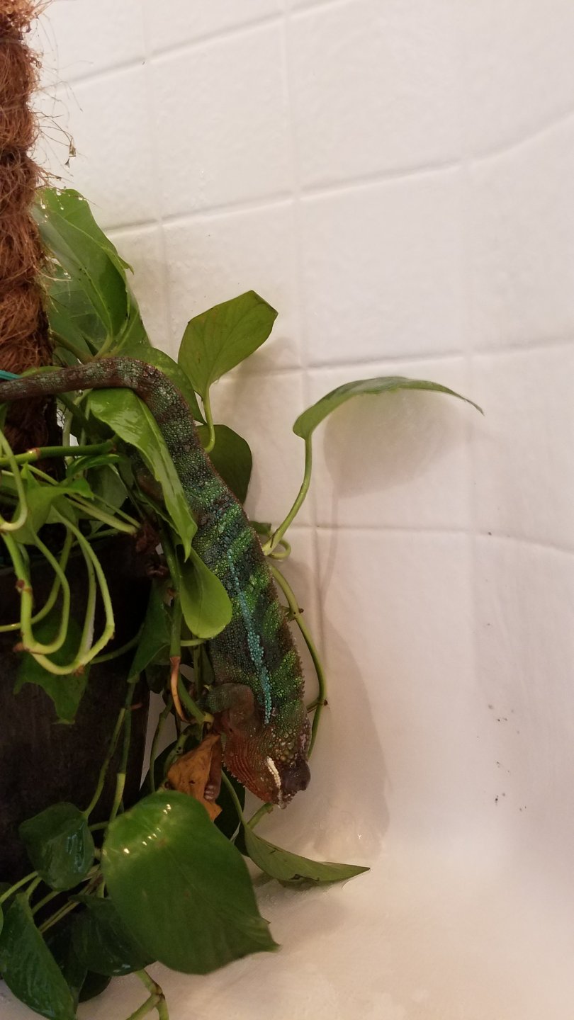 20170604_104446.jpg