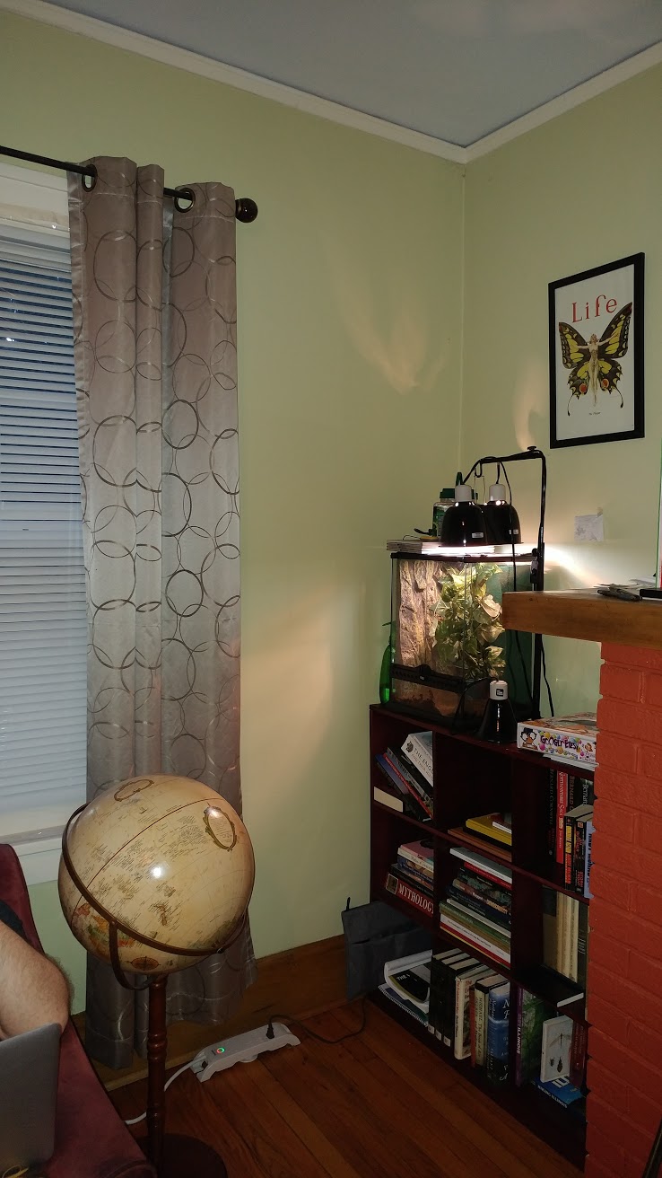 20170608_202216.jpg