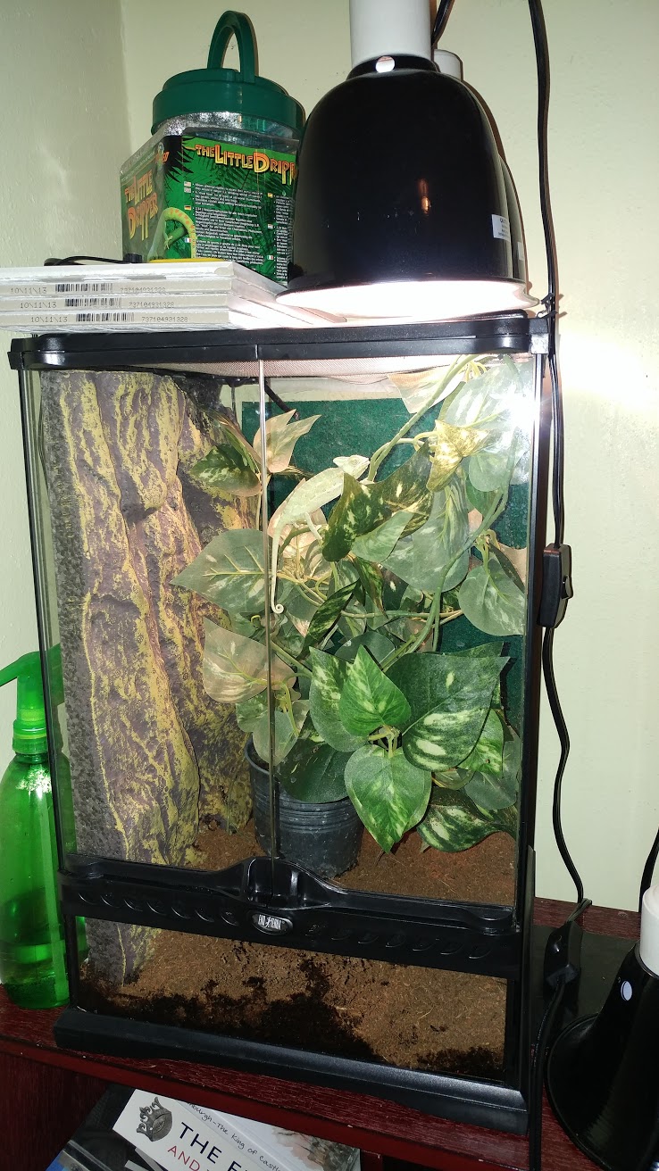 20170608_202229.jpg