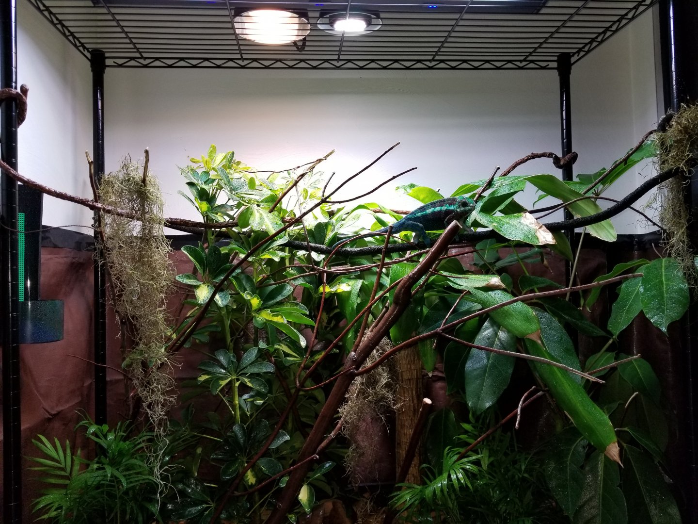20170623_132443.jpg
