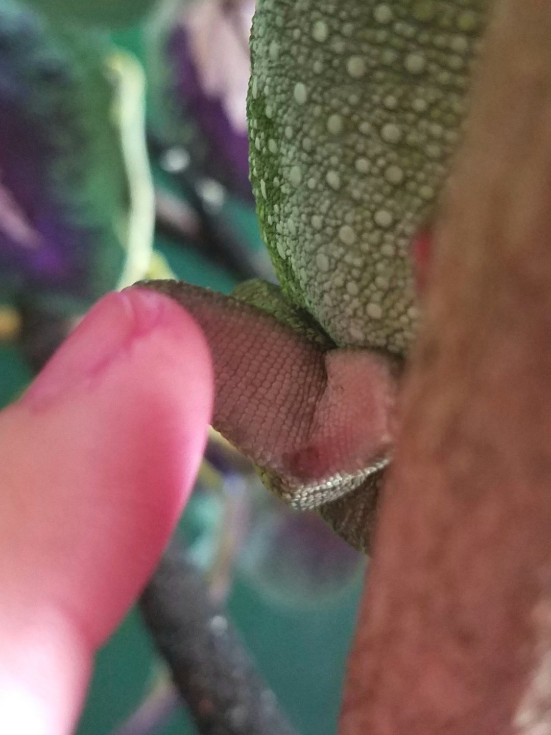20170629_154748.jpg