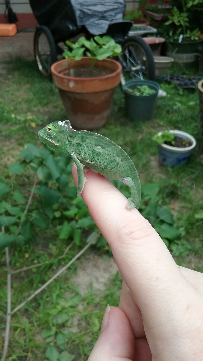 20170704_143948.jpg