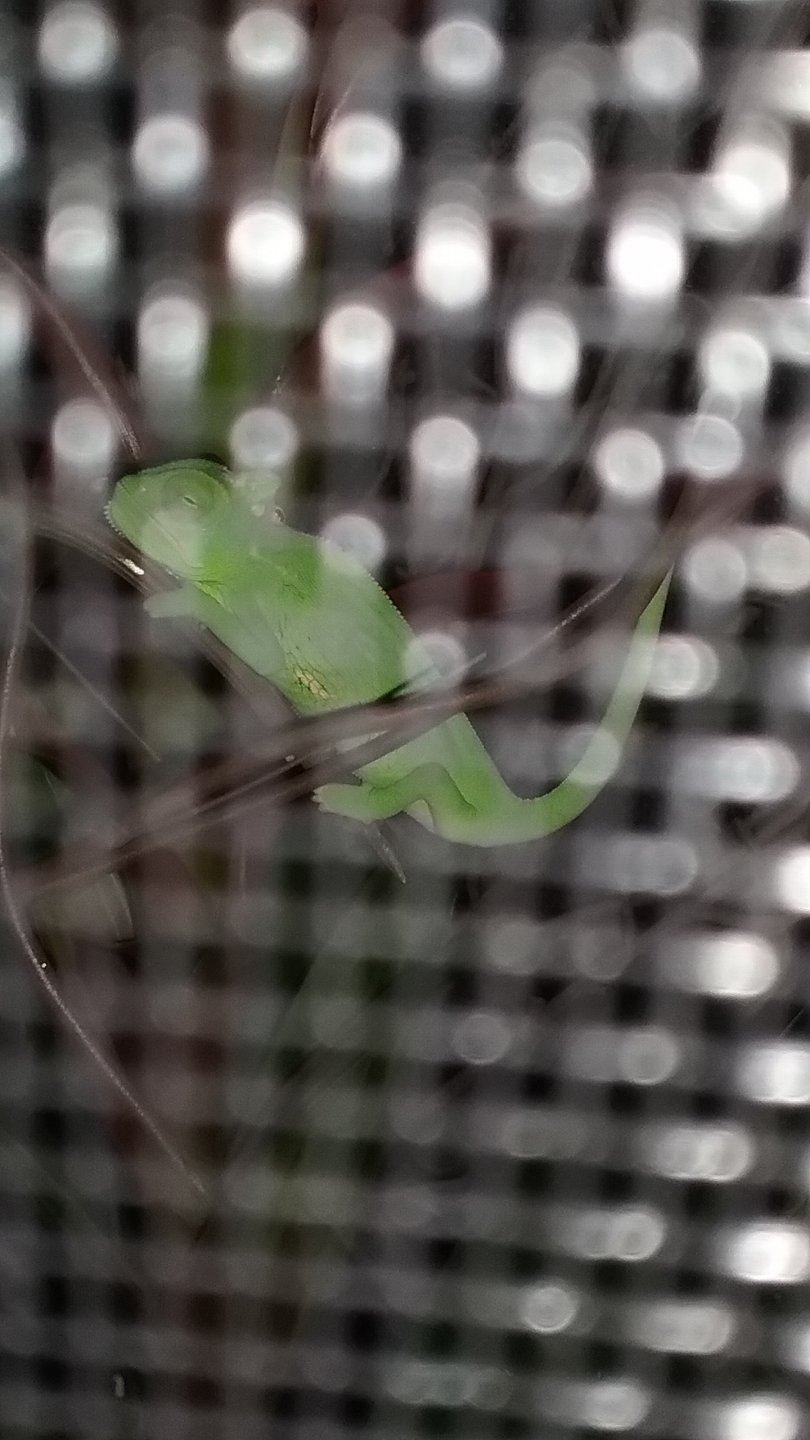 20170712_202144.jpg