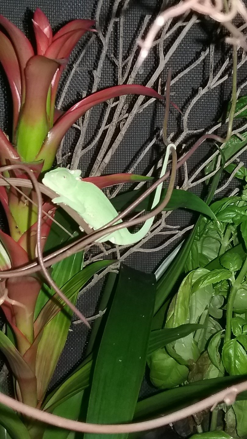 20170712_202305.jpg