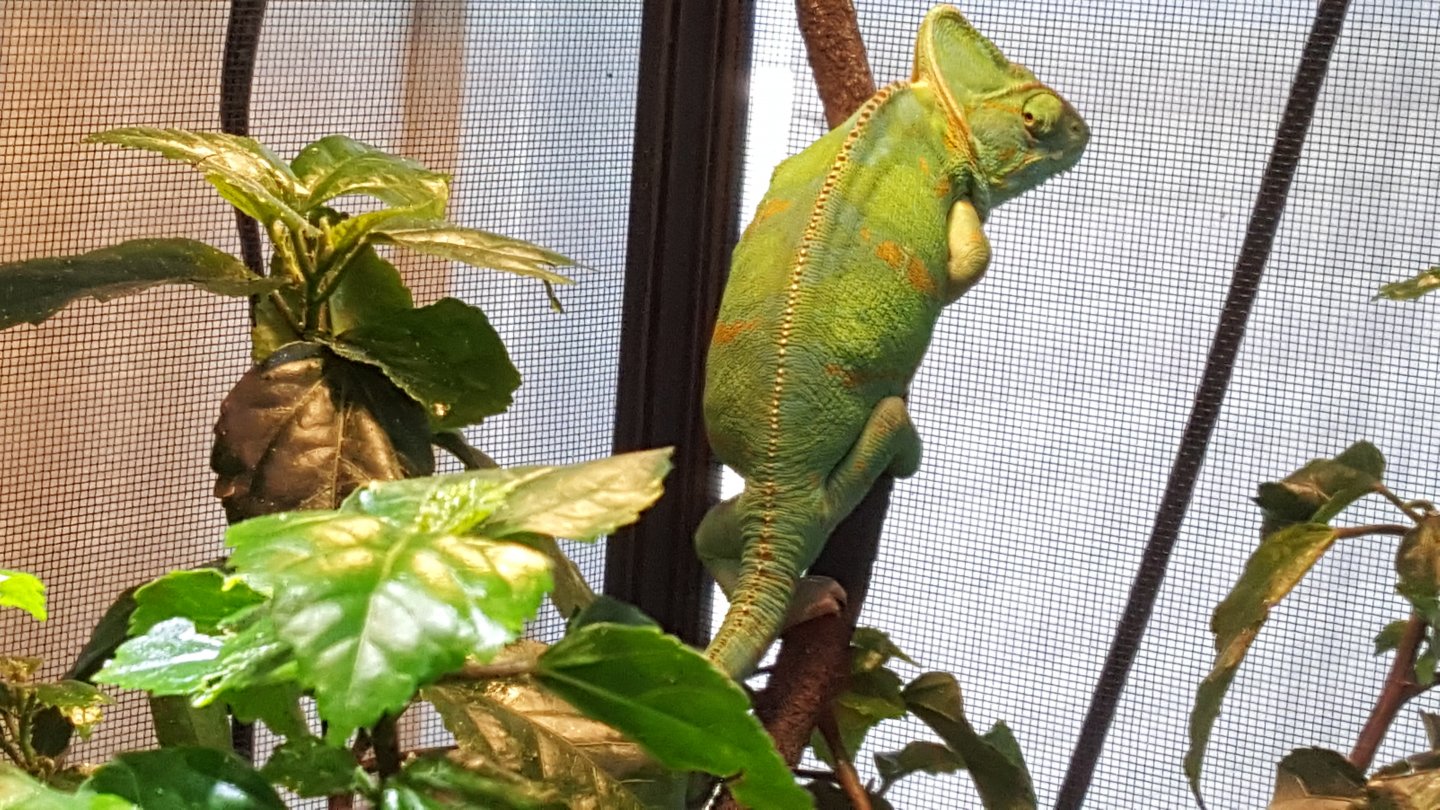 20170717_121833.jpg