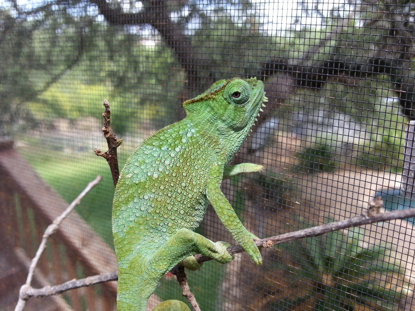 20170803_155938.jpg