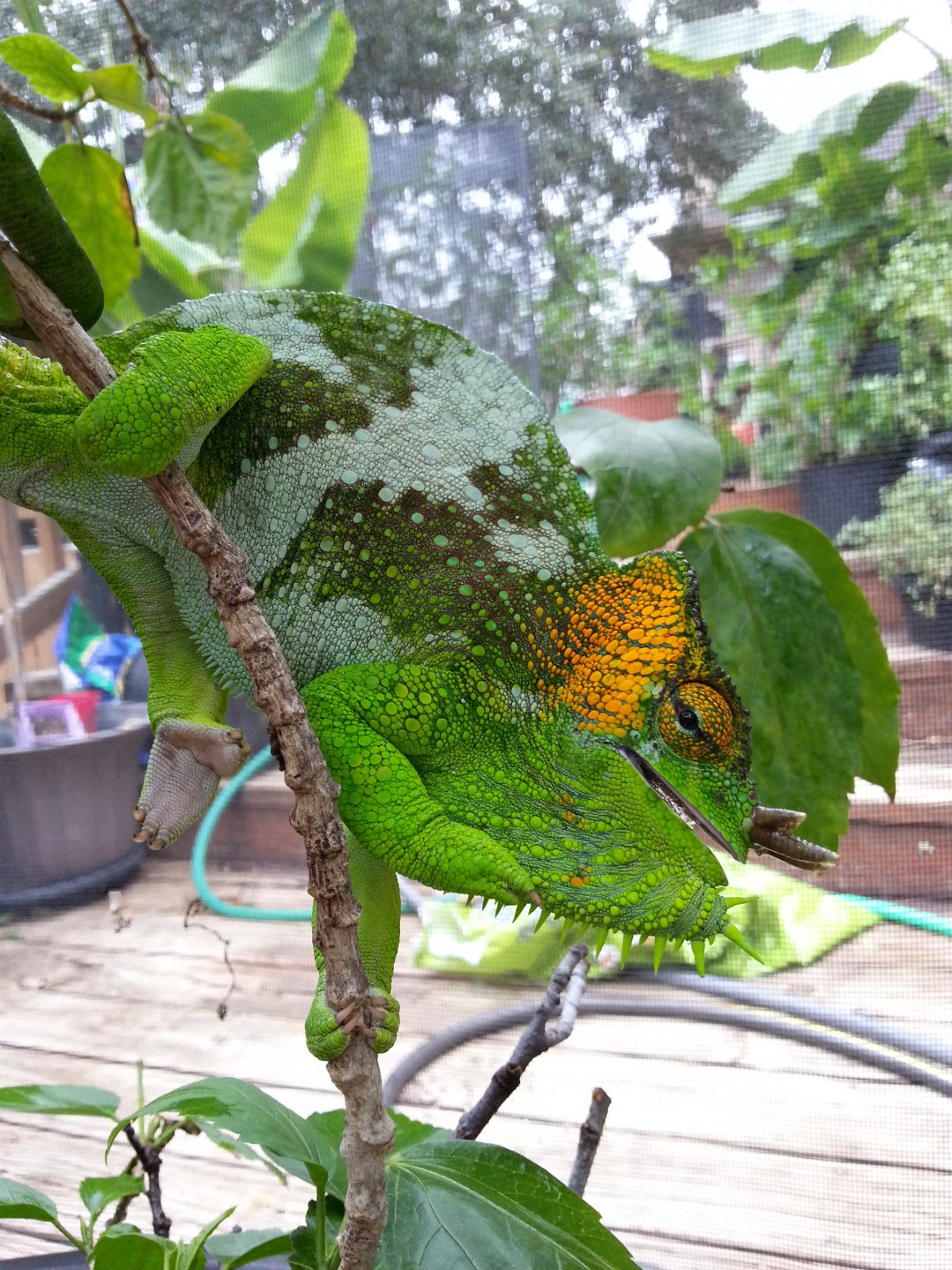 20170806_113322.jpg