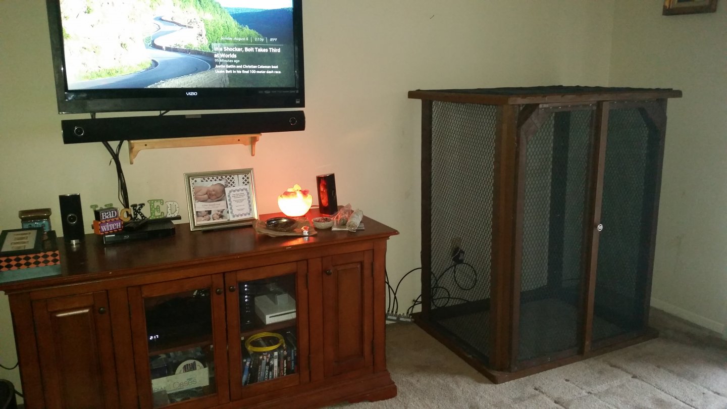 20170806_141722.jpg
