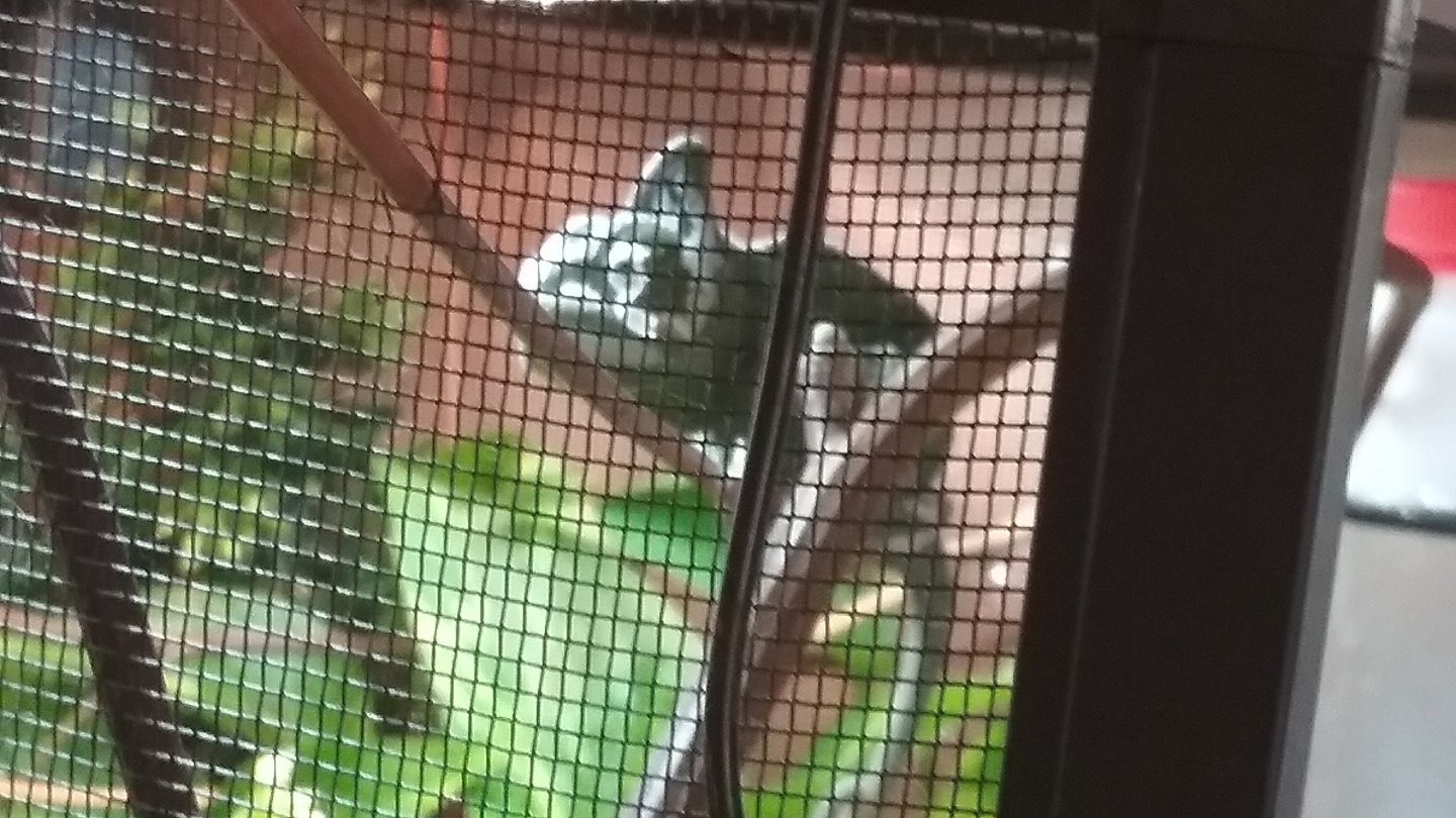 20170808_163317.jpg