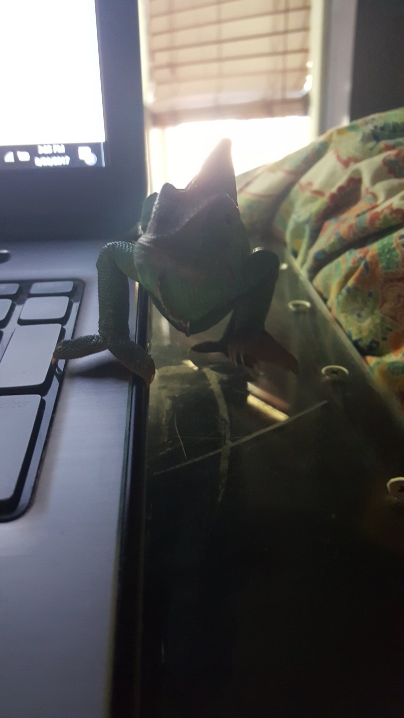 20170826_152515.jpg