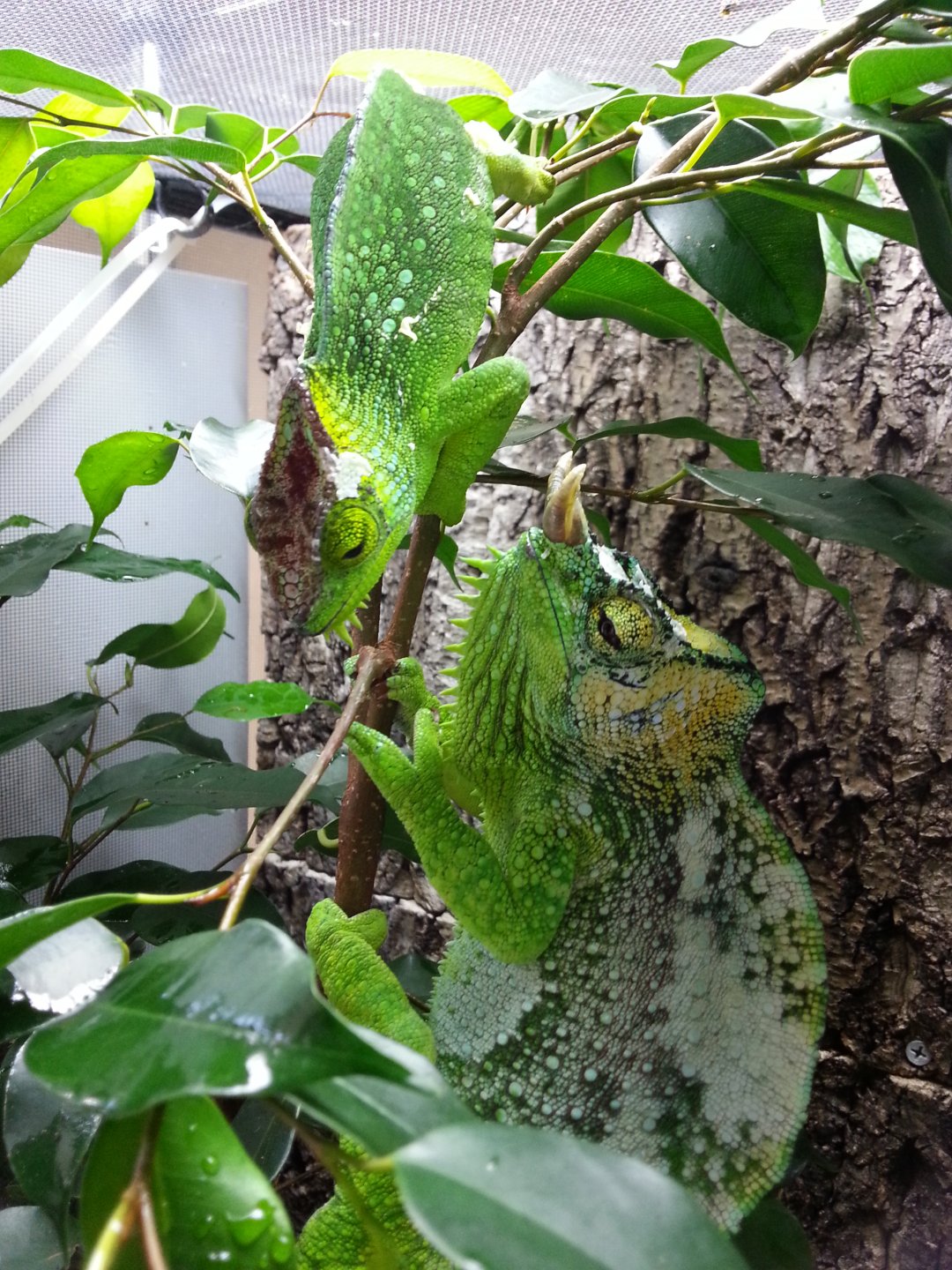 20171021_143253.jpg