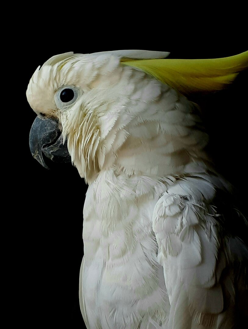 252396