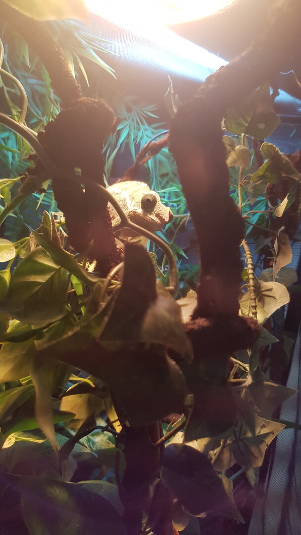 20171106_093145.jpg