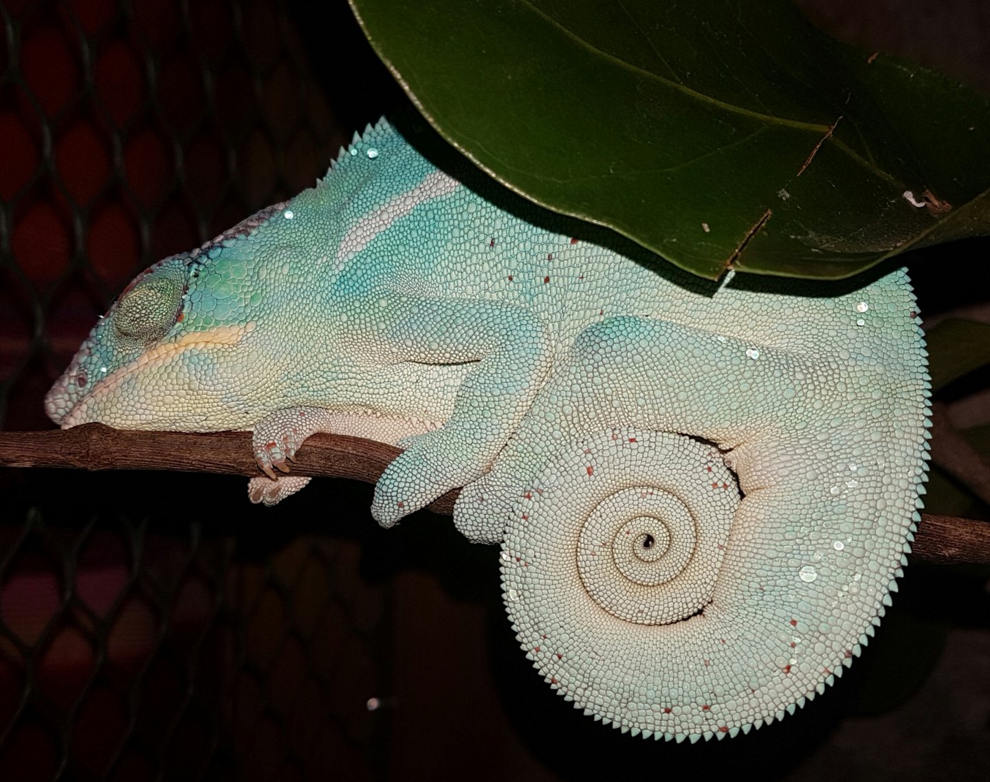 20171109_182057-1.jpg
