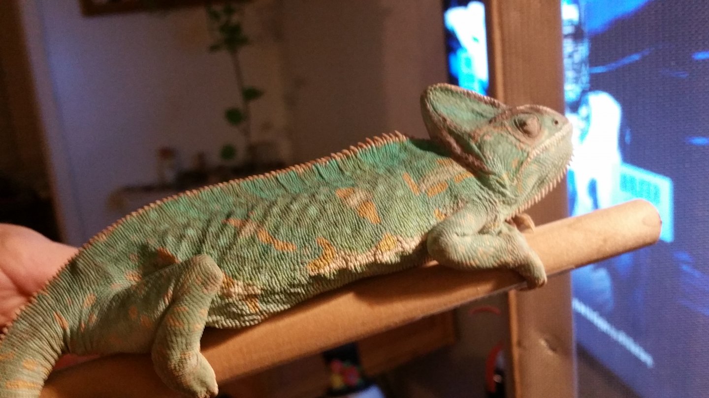 20171112_191135.jpg