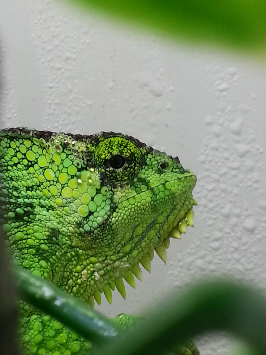20171122_103818.jpg