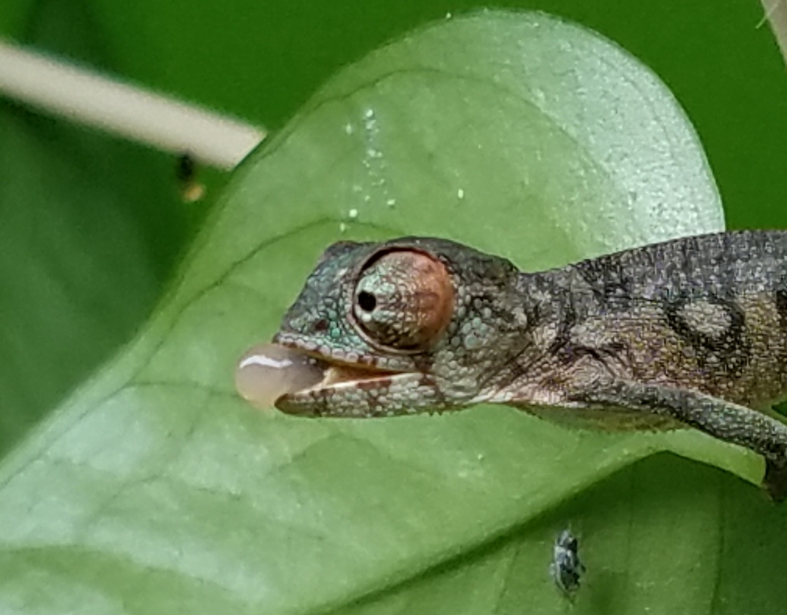 20171122_175053.jpg