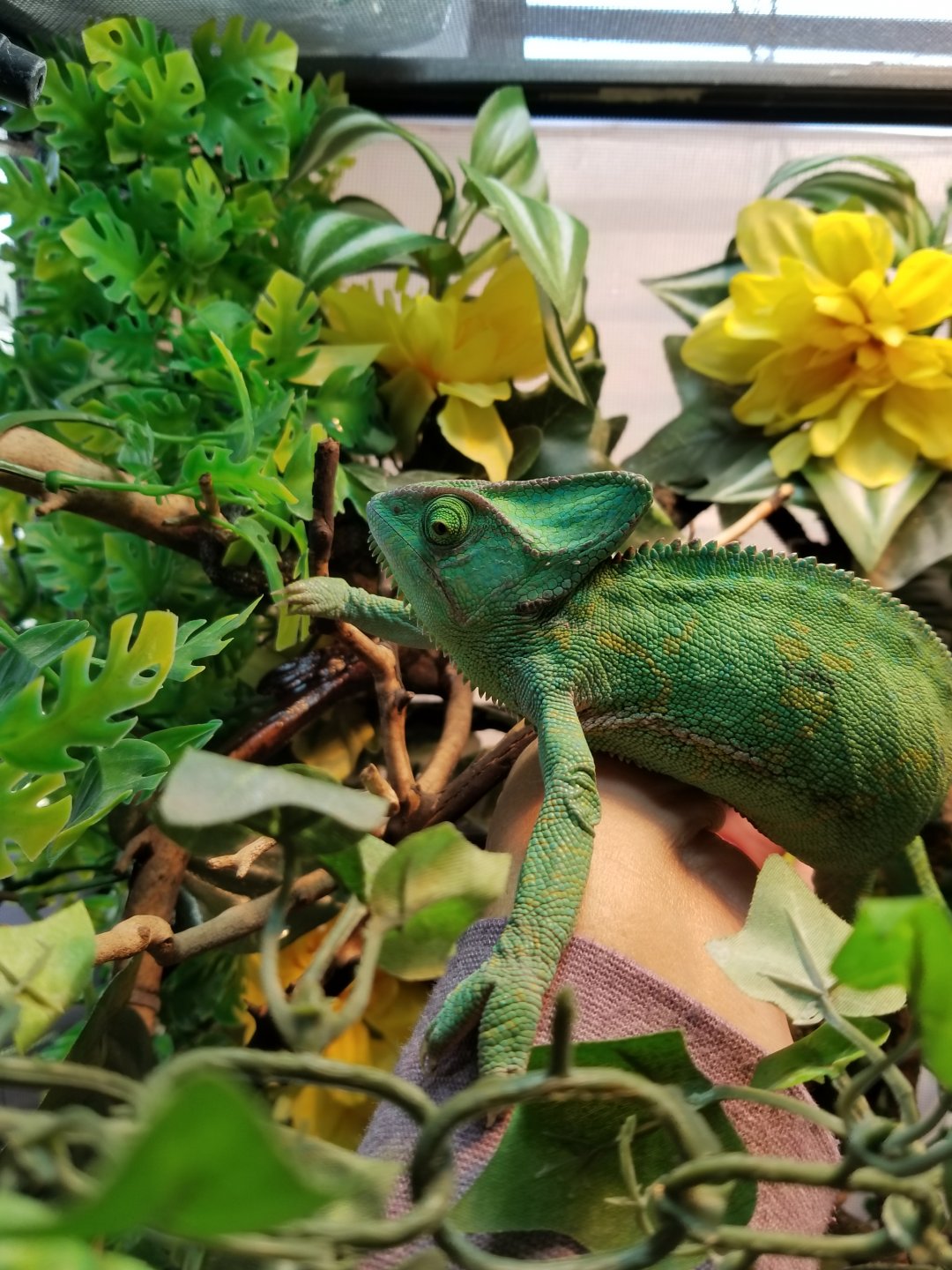 20171128_102505.jpg