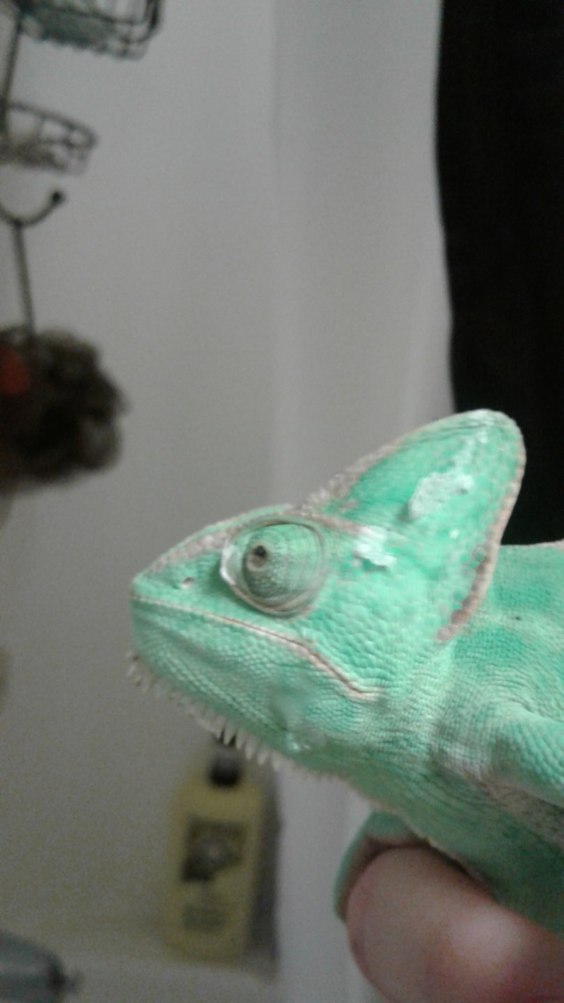 20171215_220343.jpg