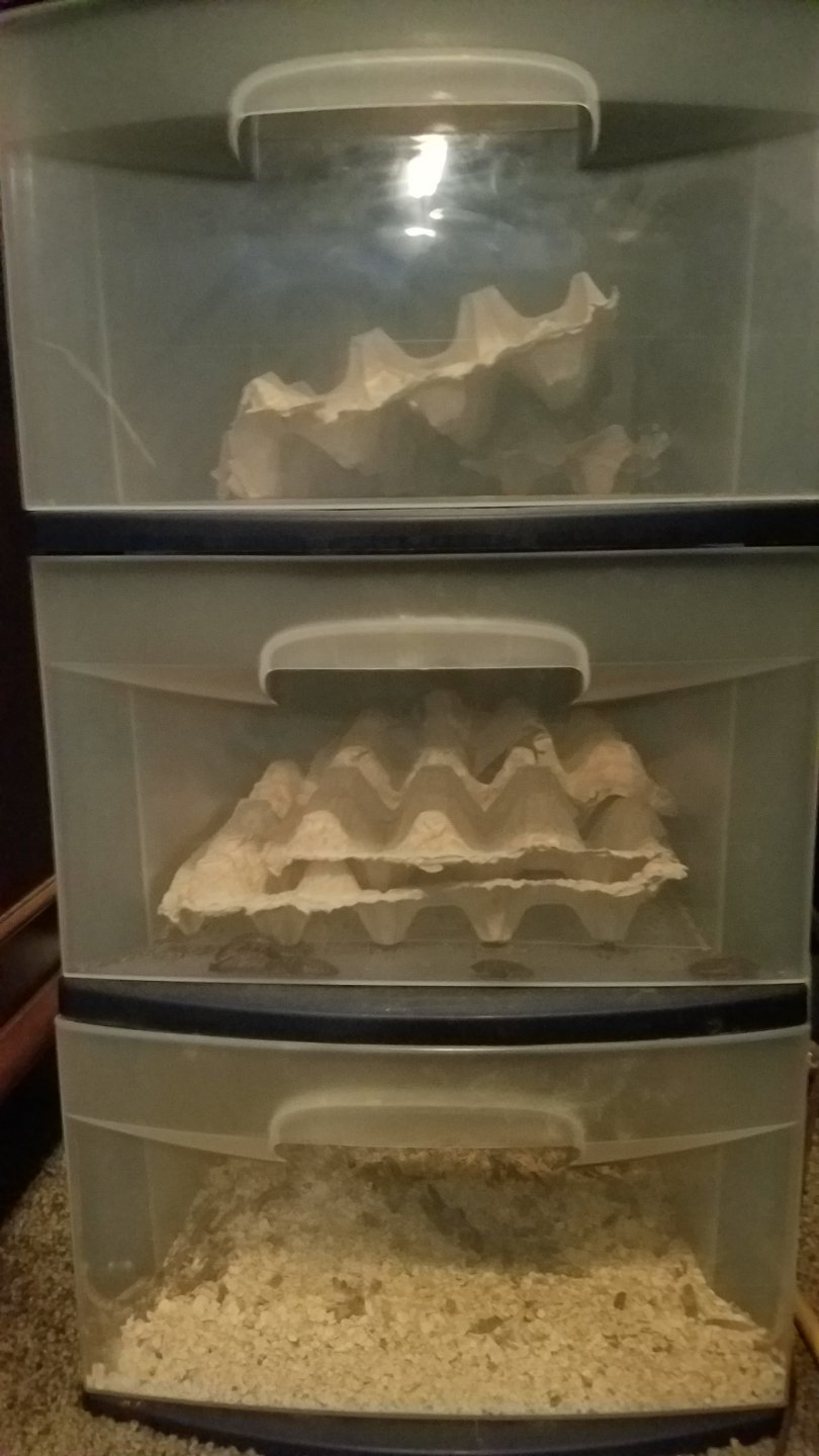 20180114_172504.jpg