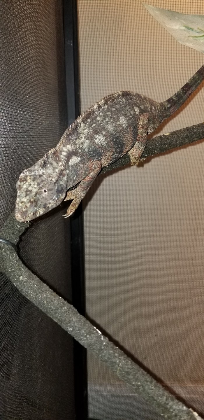 20180116_195722.jpg