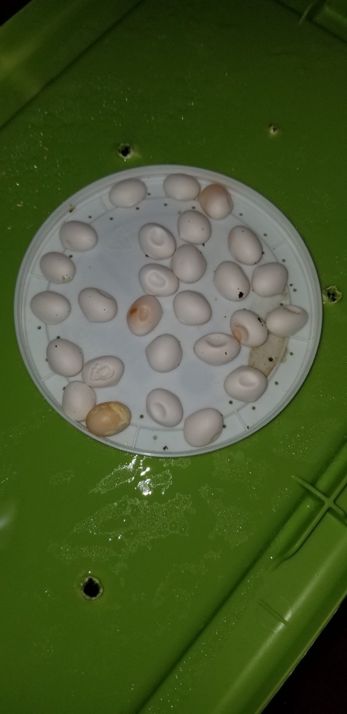 20180121_123327.jpg