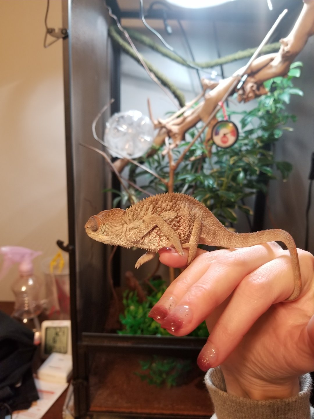 20180205_181528.jpg