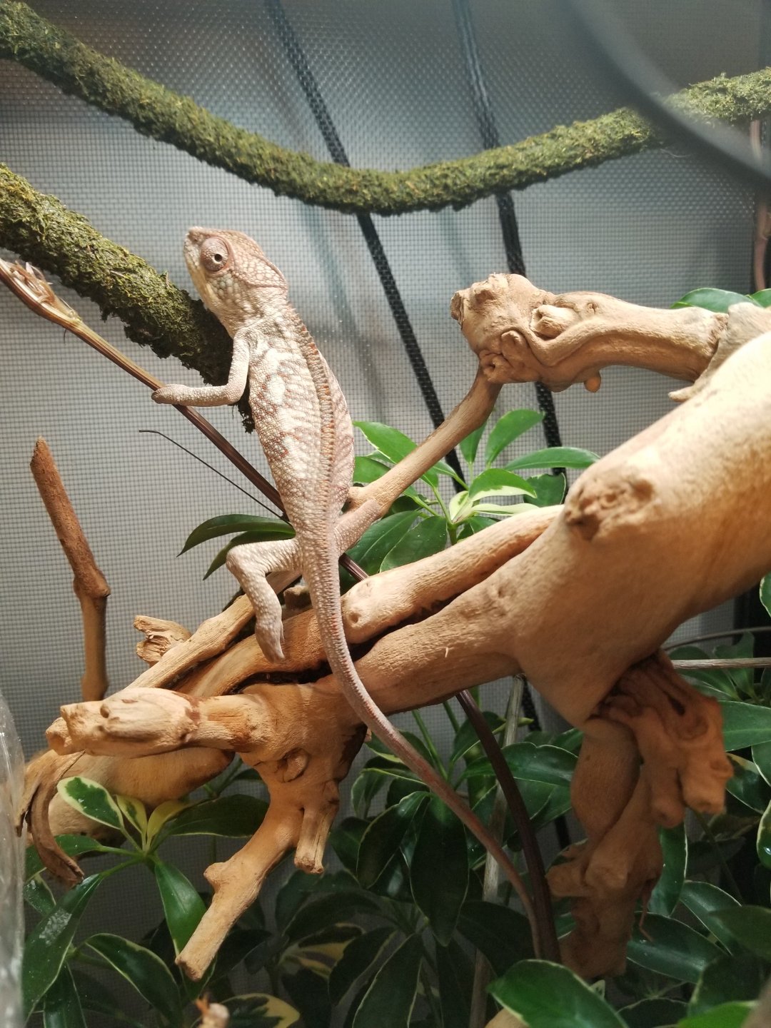20180205_181645.jpg