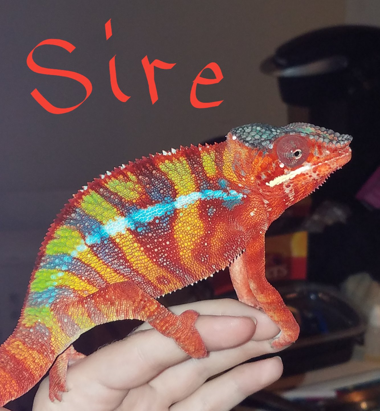 20180215_141527.jpg