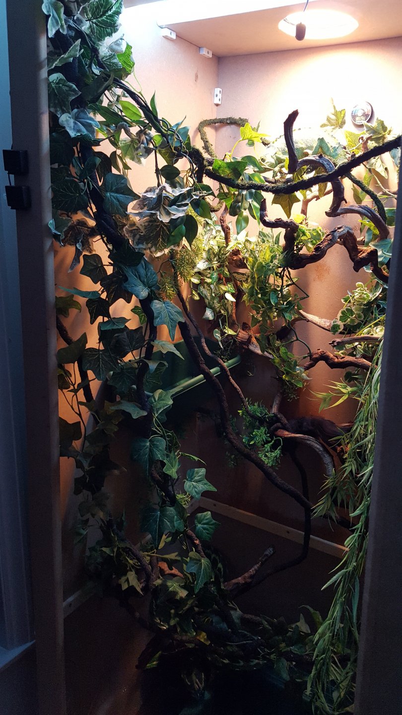 20180223_195447.jpg