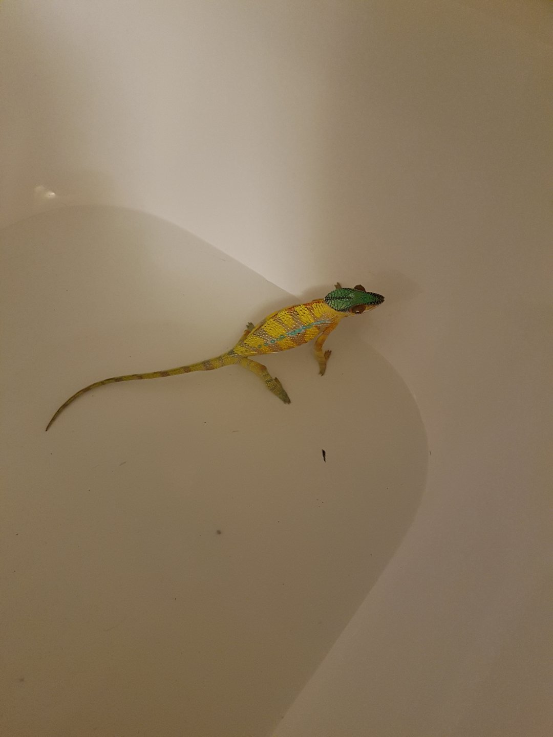 20180302_120620.jpg