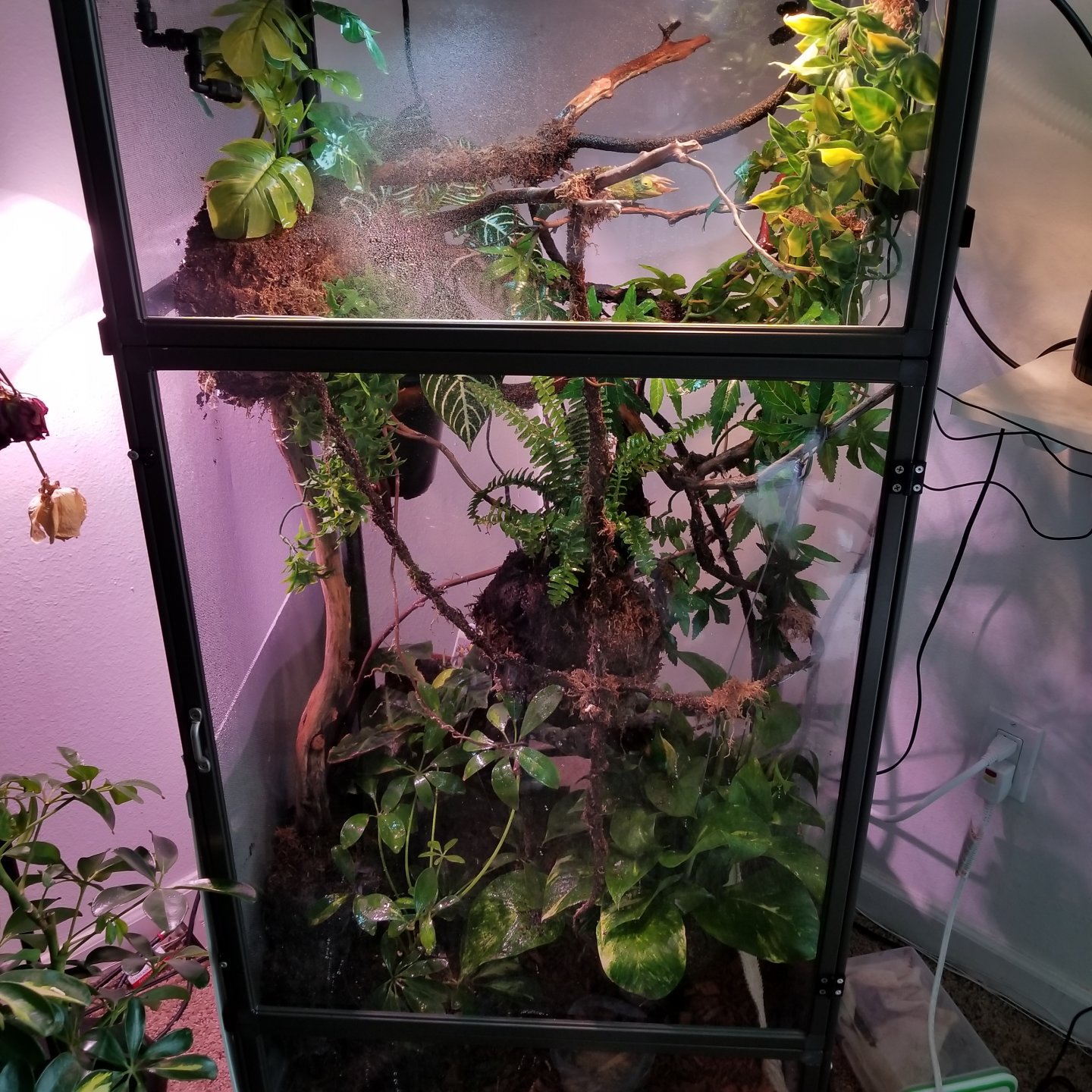 20180406_120356.jpg