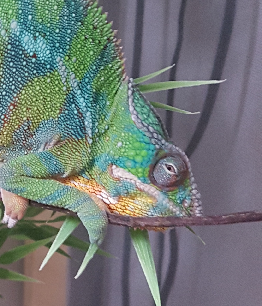 20180419_000232.jpg