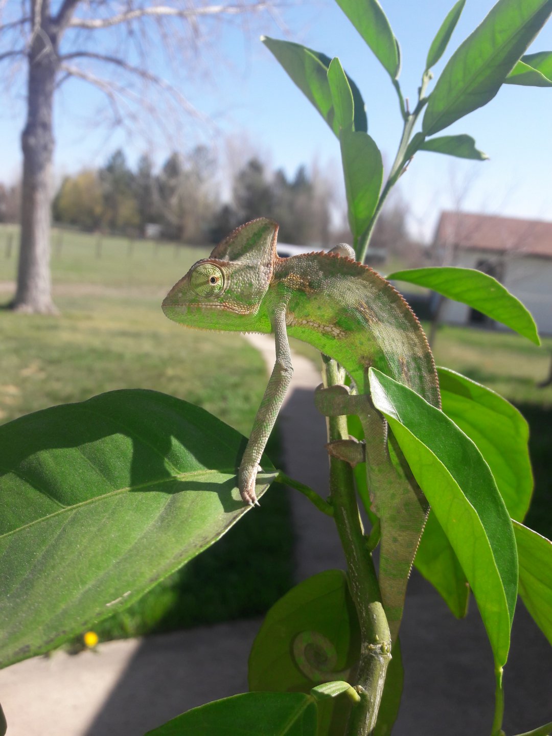 20180427_154531.jpg