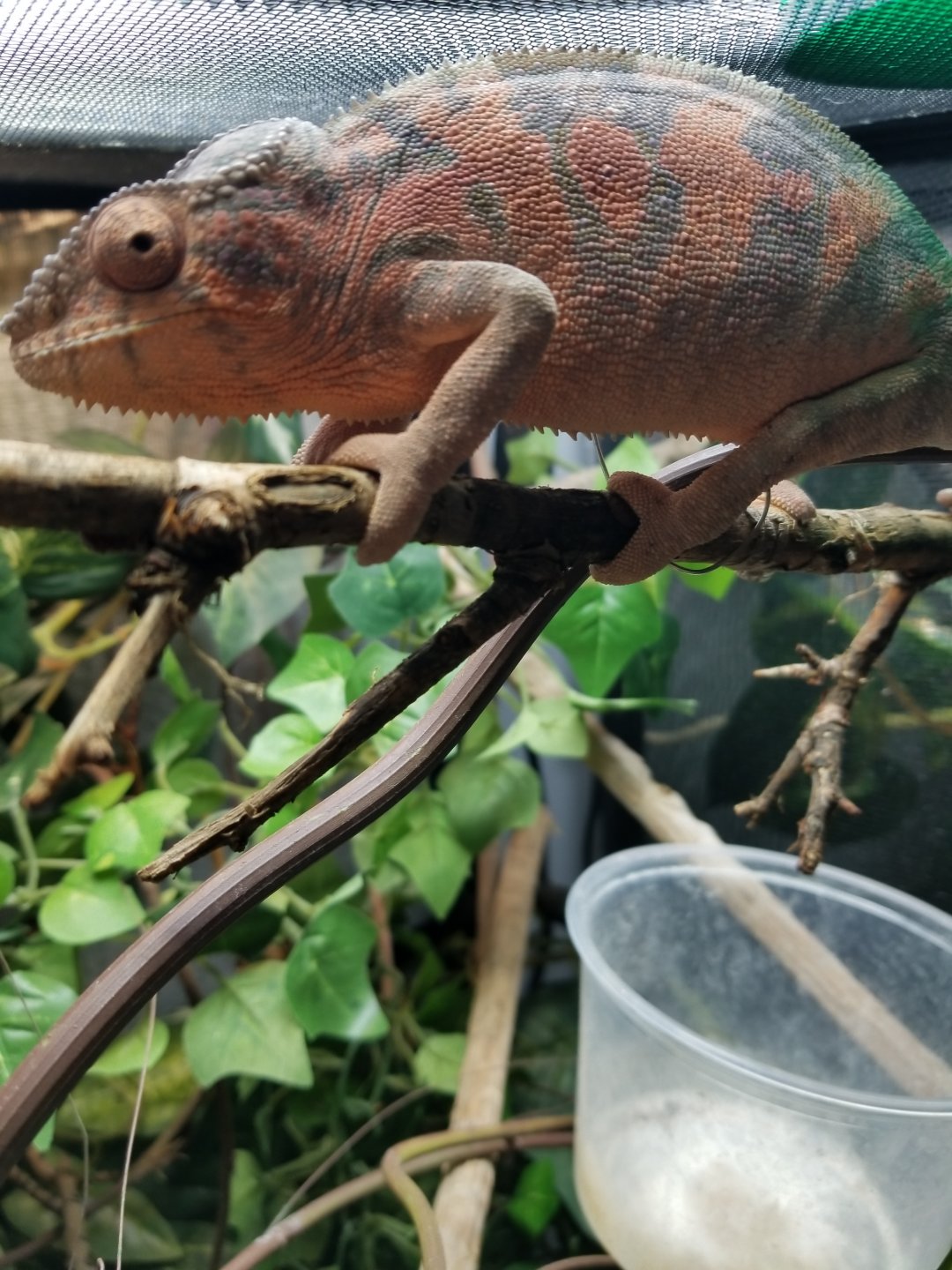 20180429_104012.jpg