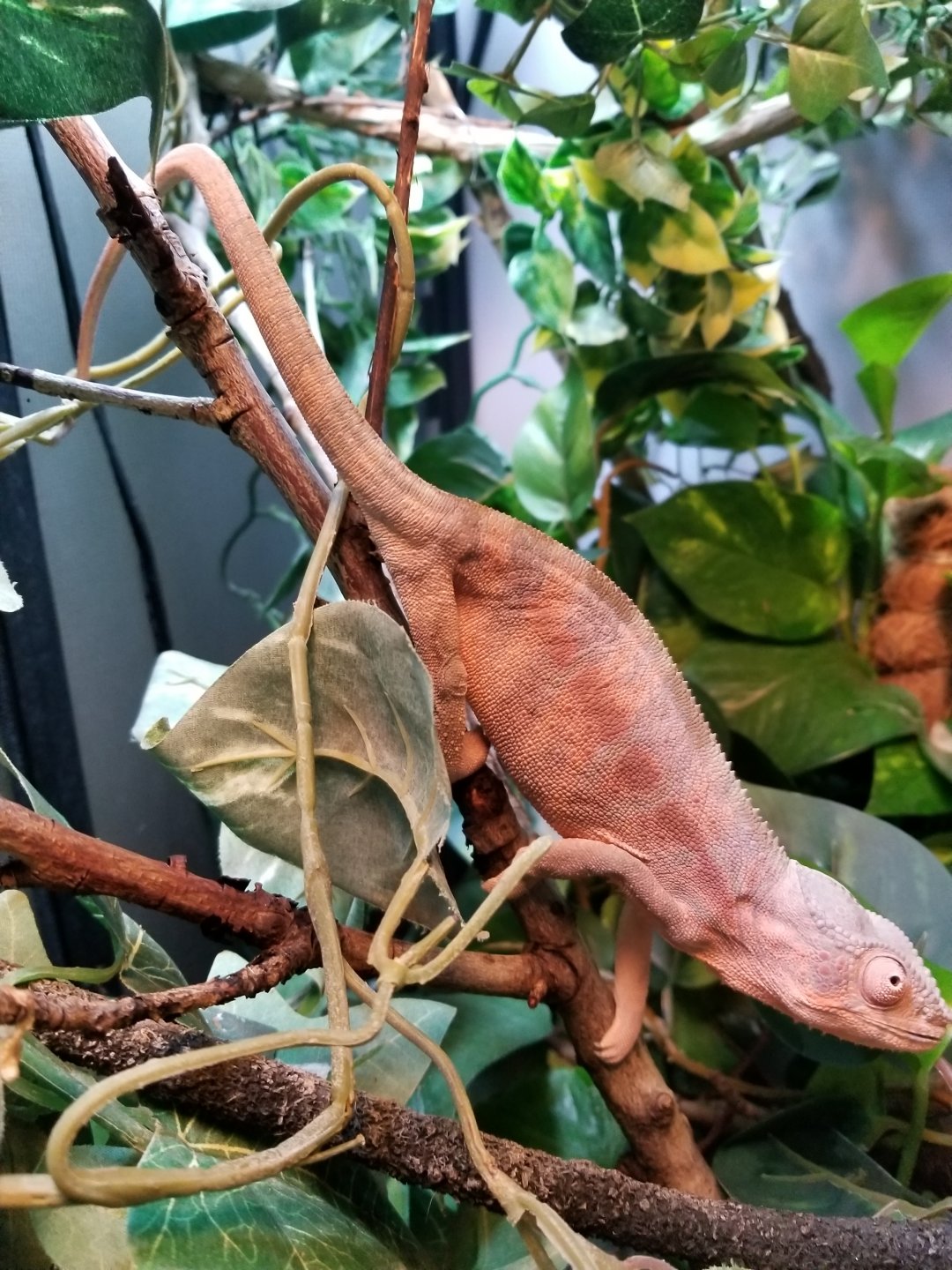 20180430_175915.jpg