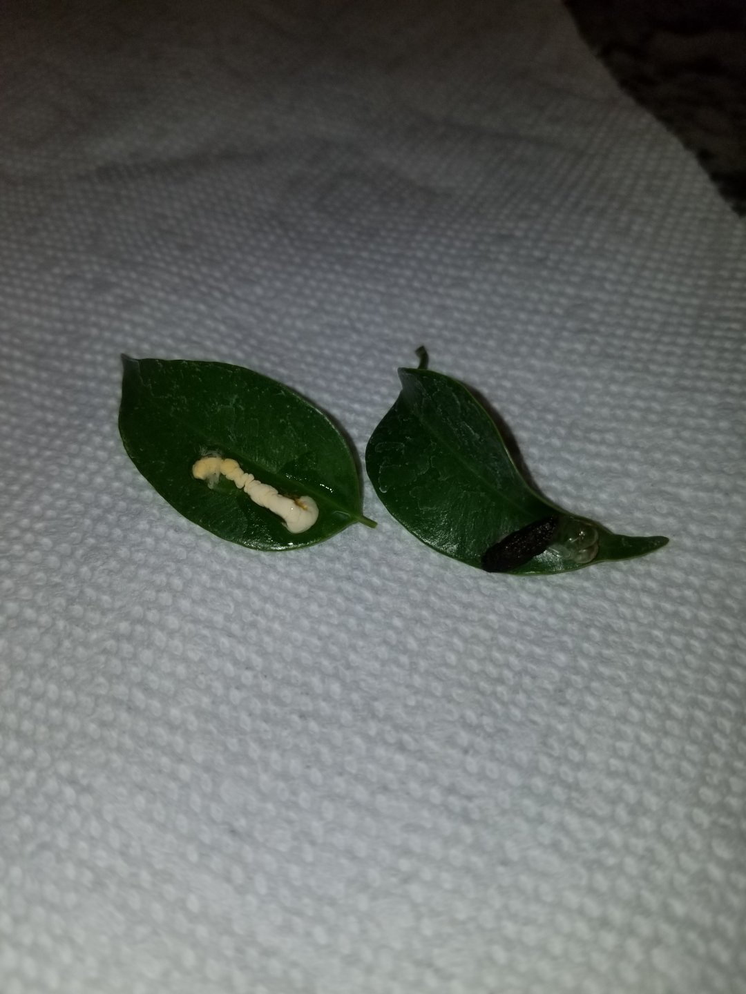 20180511_114022.jpg