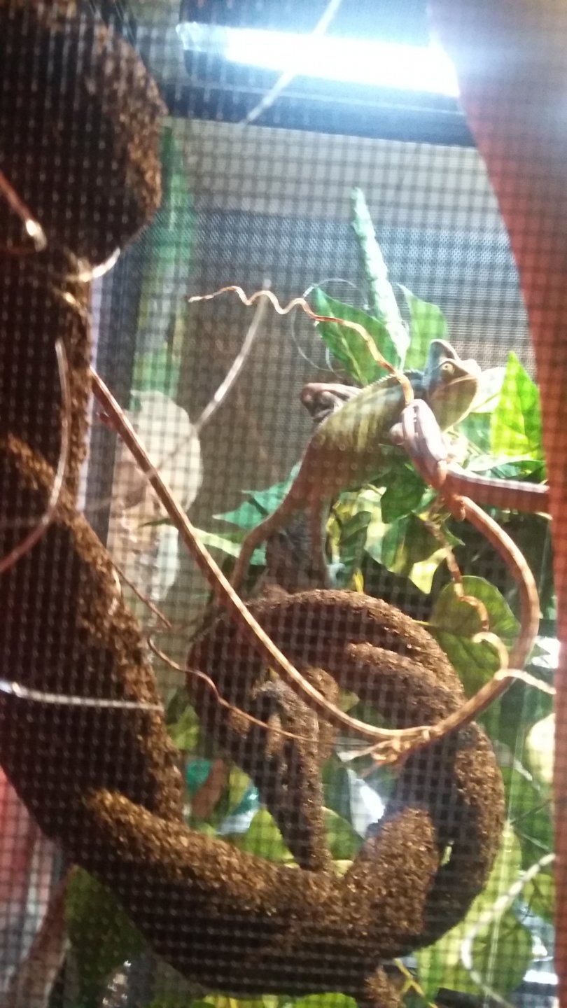 20180517_115156.jpg
