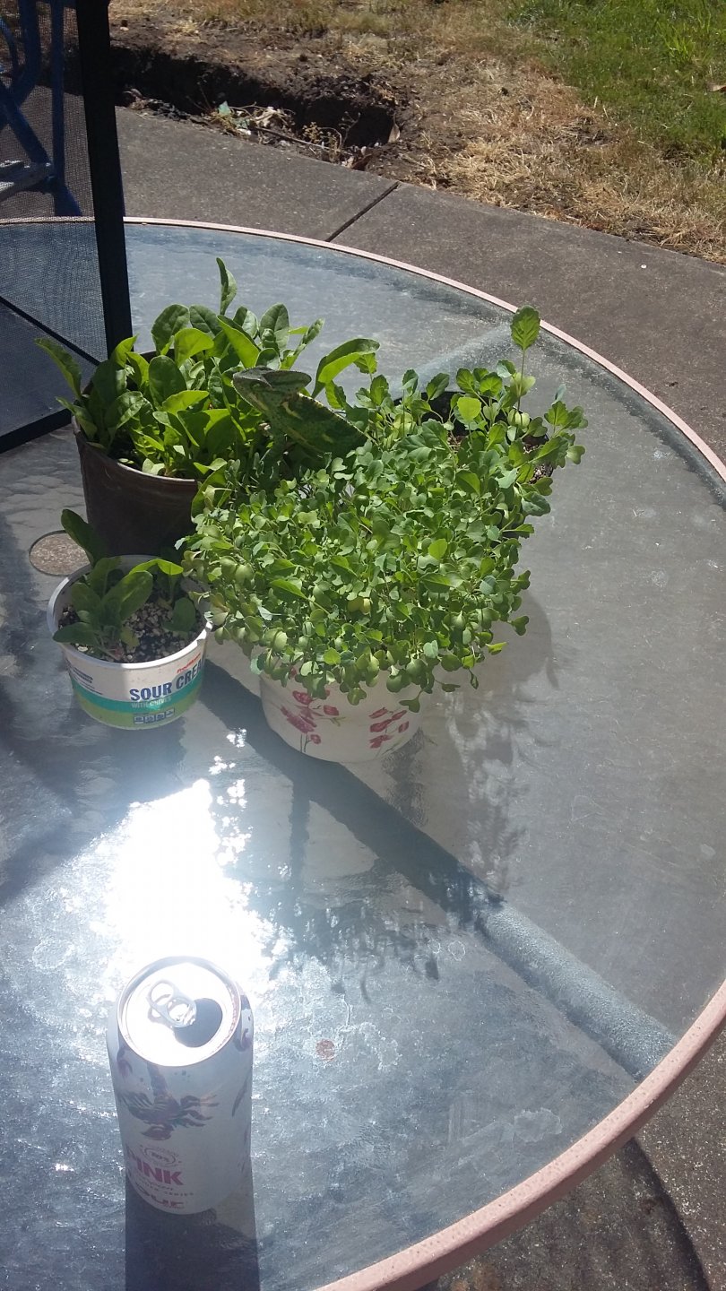 20180521_150823.jpg