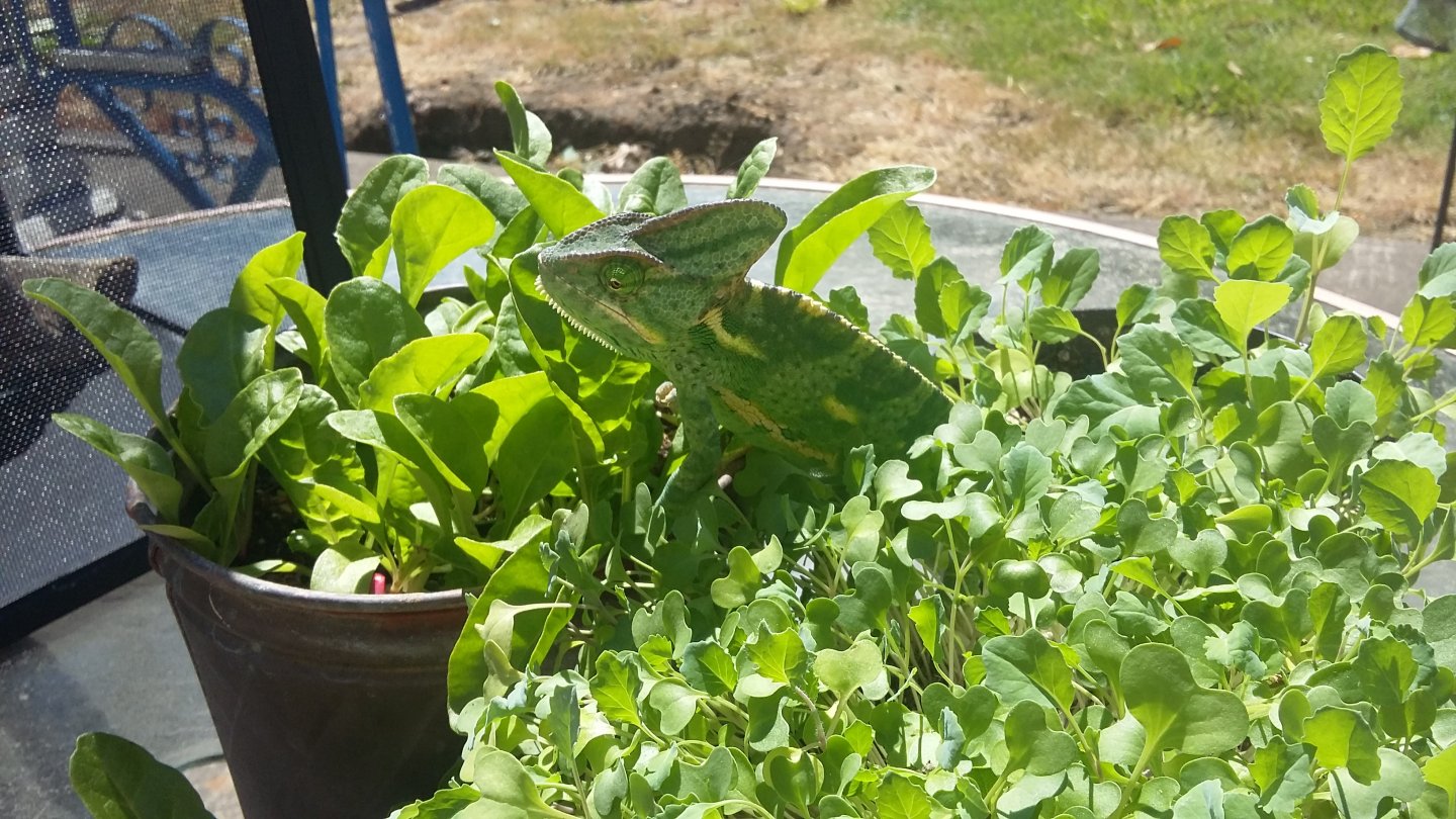 20180521_150829.jpg