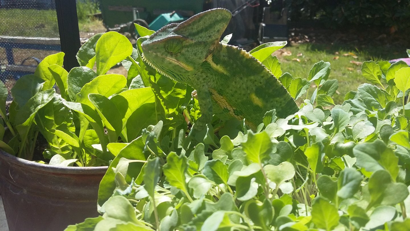 20180521_150837.jpg