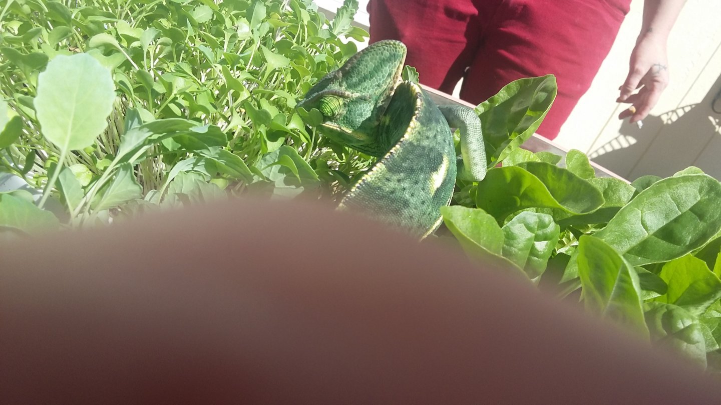 20180521_150844.jpg