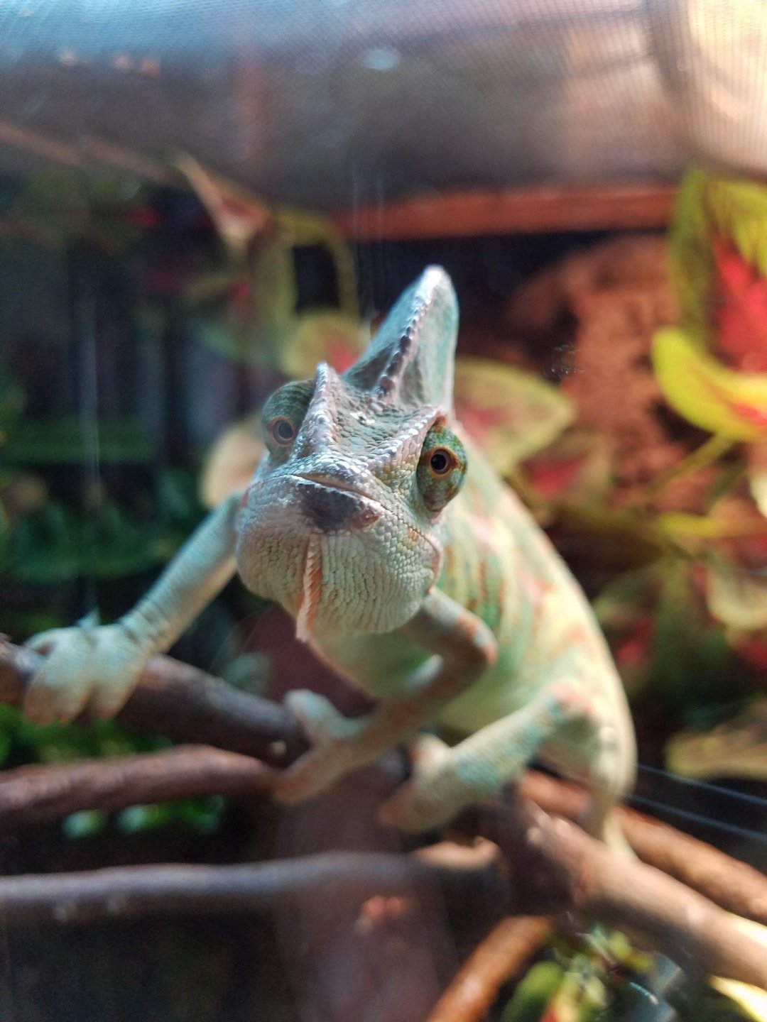 20180525_094646.jpg