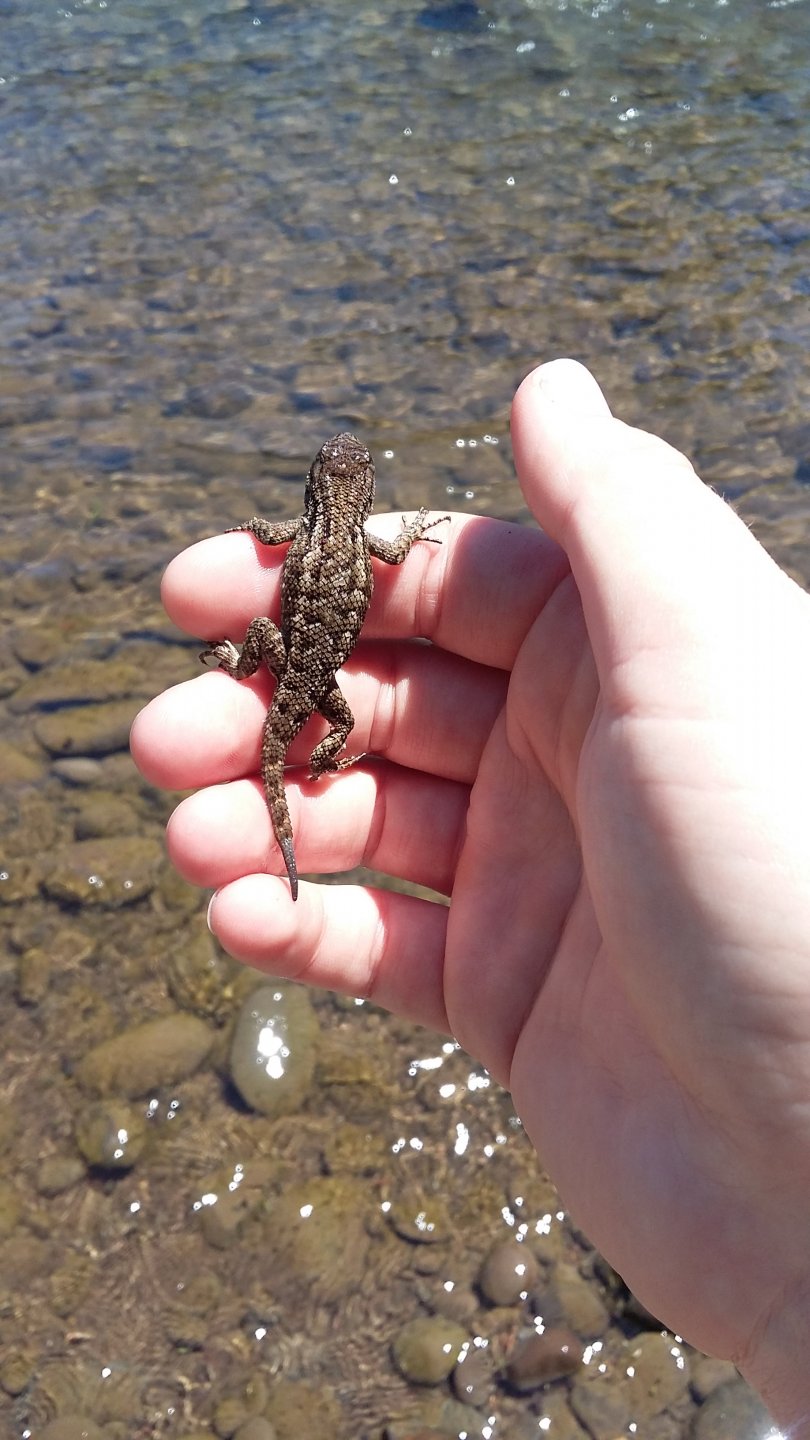 20180527_133417.jpg