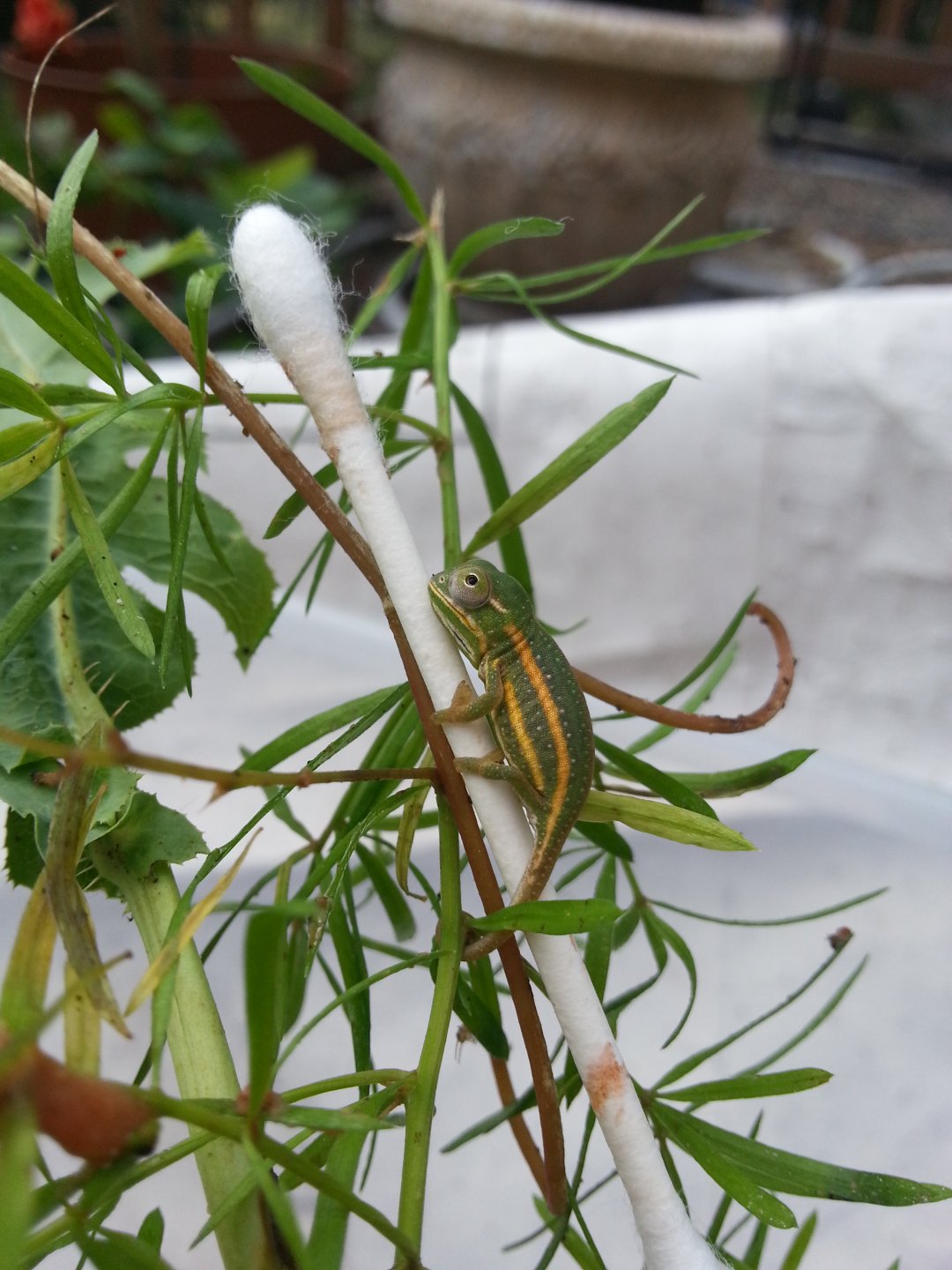 20180605_081346.jpg