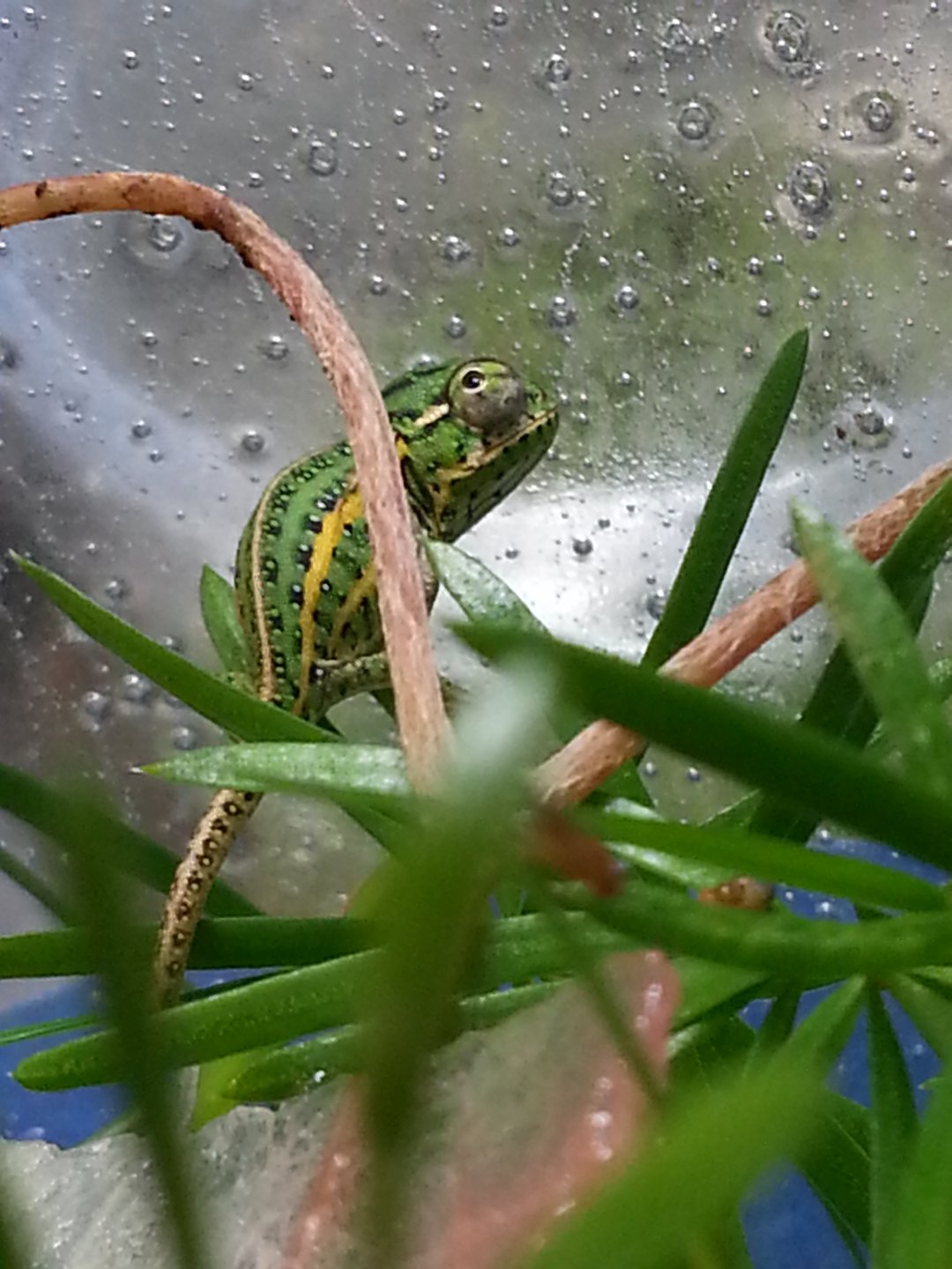 20180605_091409.jpg