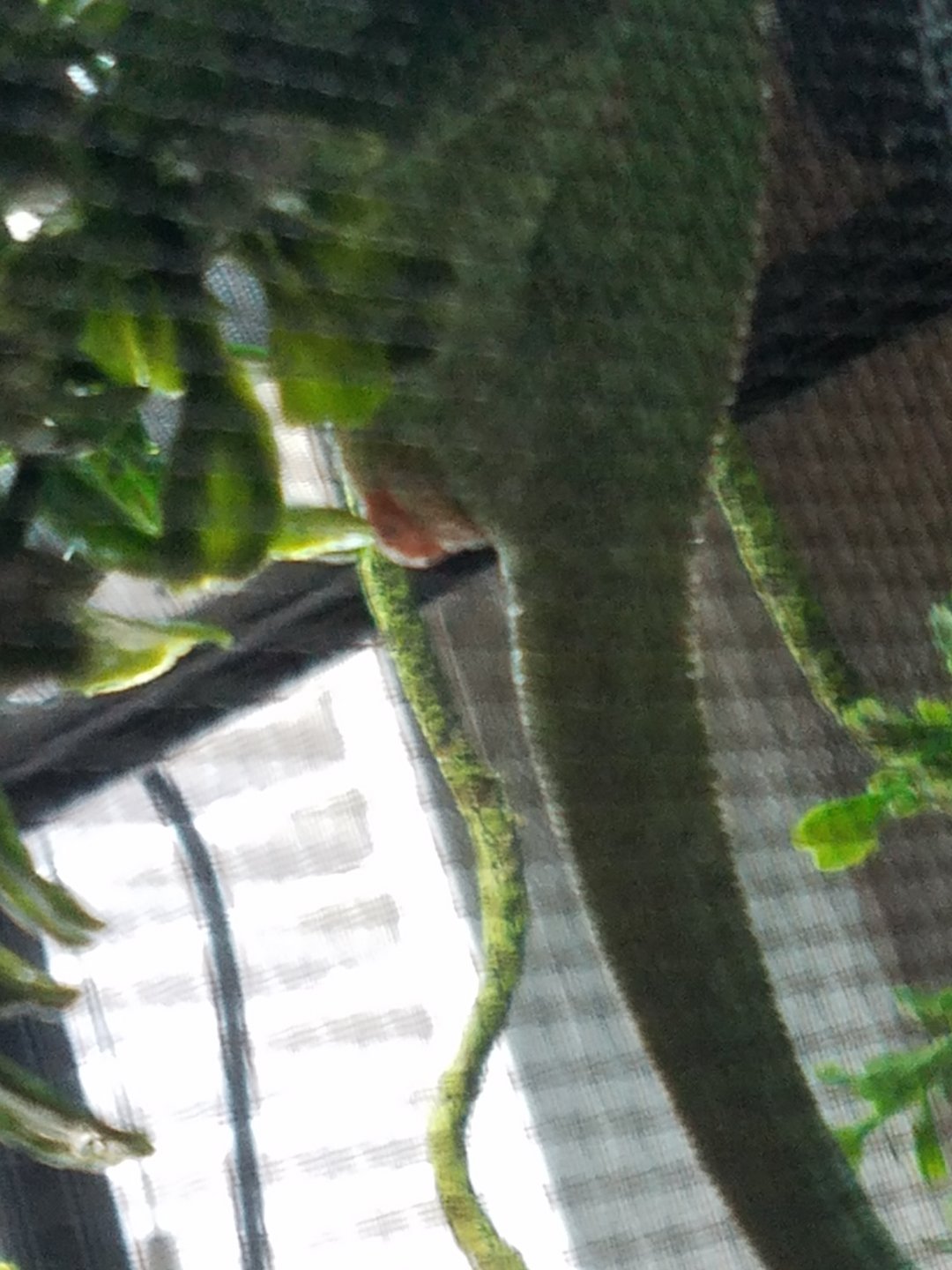 20180614_125912.jpg