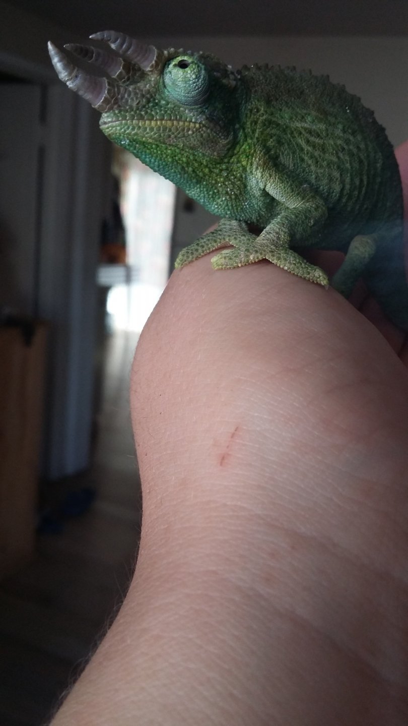 20180624_165421.jpg