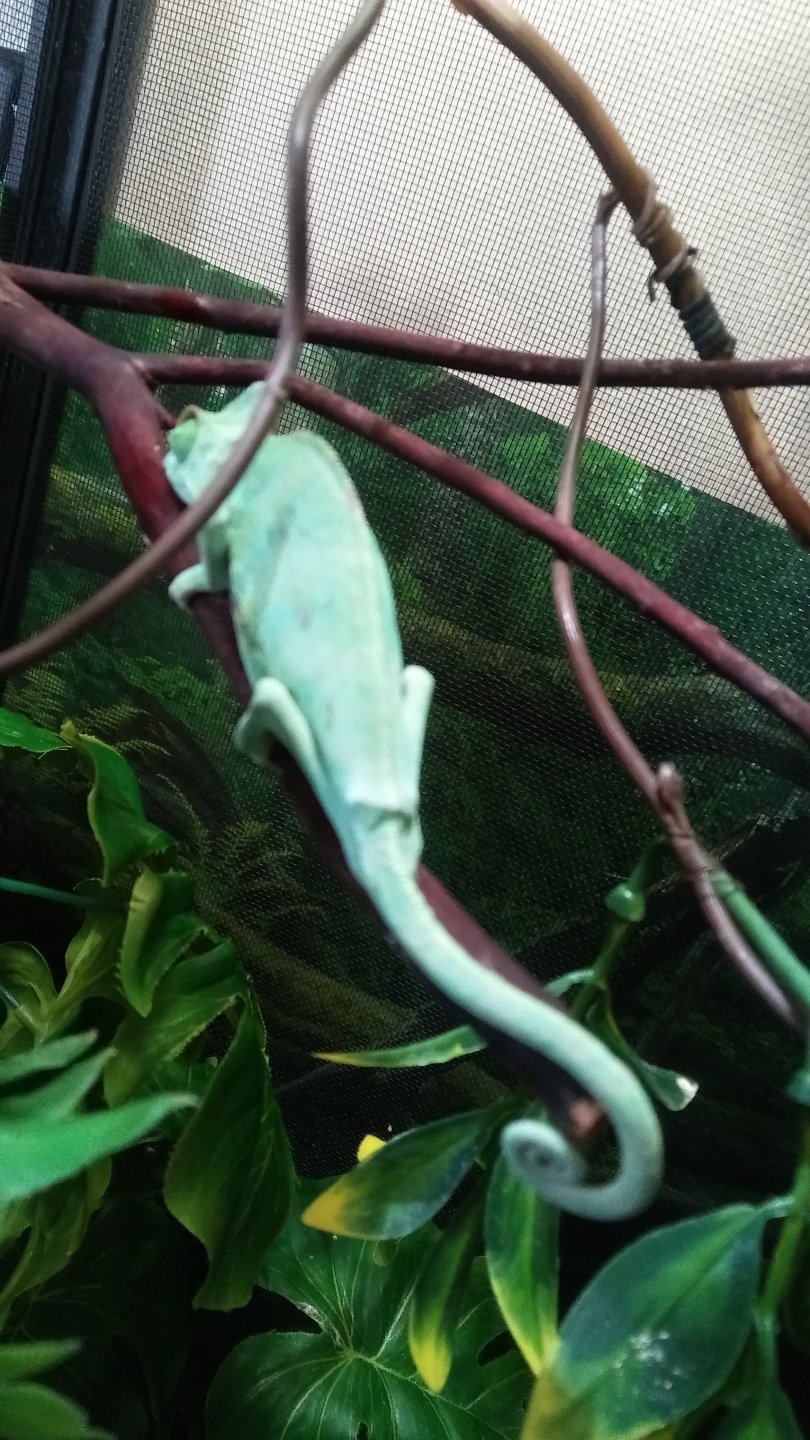 20180712_153154.jpg